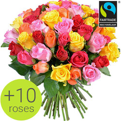 Bouquet de roses équitables Arlequin